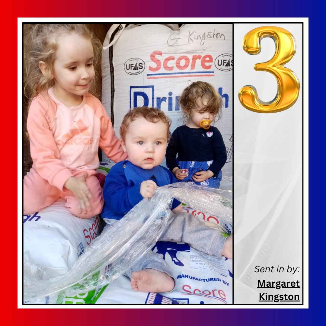 Drinagh Agribusiness tweet media