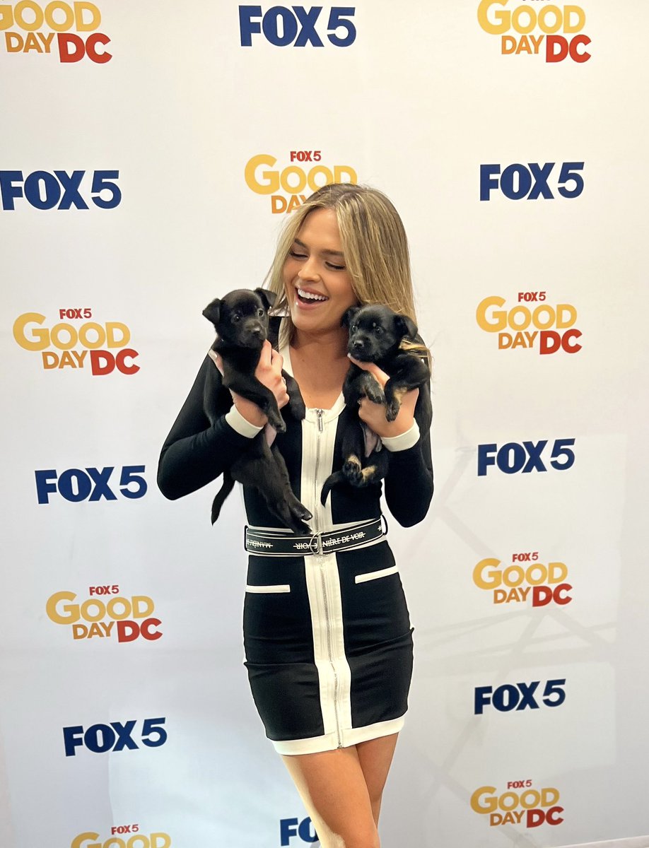 A truly Good Day <a href="/fox5dc/">FOX 5 DC</a> when <a href="/PetConnectRescu/">PetConnect Rescue</a> comes to the studio 🥹🤍