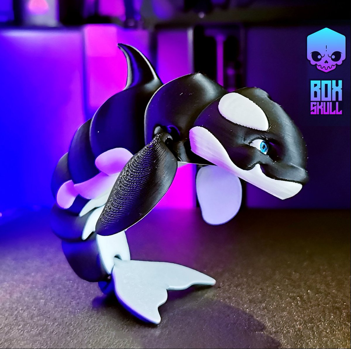 BoxSkull3D's tweet photo. FLEXI - KILLER WHALE
New desing available now on @Cults3D
https://t.co/hywbDWLmTq
#boxskull #animalprit #cults #WHALES #printst #print3d #ender #animalprint #cults3d #animals #animalslover #killerwhale #ocean #whale https://t.co/oPeSMPFBrW