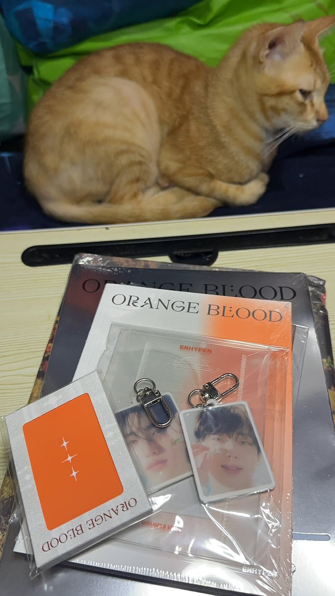 SIRChristian93's tweet photo. Worth the wait @thepeachesph 🫶✨ thank you sa freebies and sobrang saya ko sa mga pulls kooo 🧡✨ till next Enha albums hehe https://t.co/Xy0vL6suAd