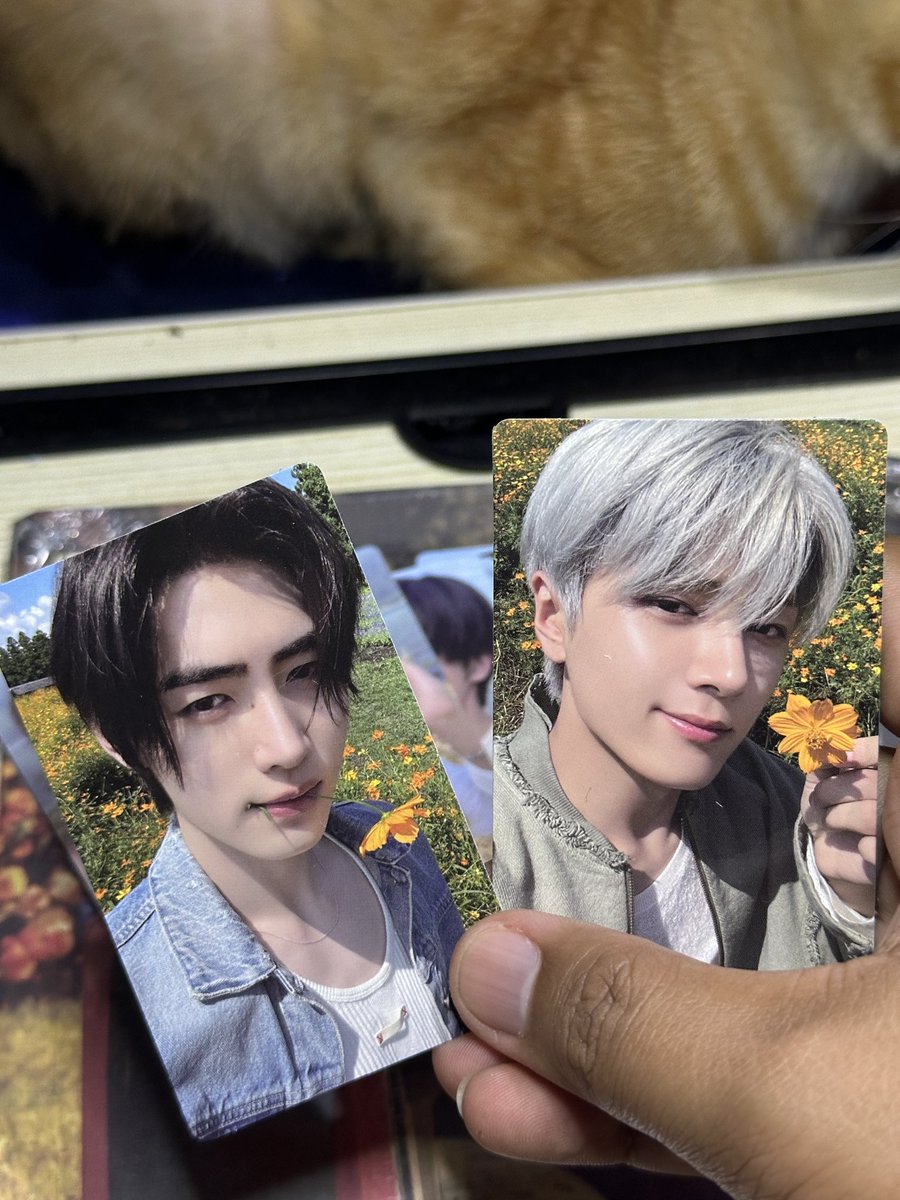 SIRChristian93's tweet photo. Worth the wait @thepeachesph 🫶✨ thank you sa freebies and sobrang saya ko sa mga pulls kooo 🧡✨ till next Enha albums hehe https://t.co/Xy0vL6suAd