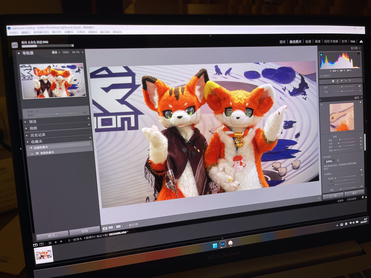 #FursuitFriday
冒个泡就2023最后一次毛五了，那么就2024见啦！明年见，想你们！