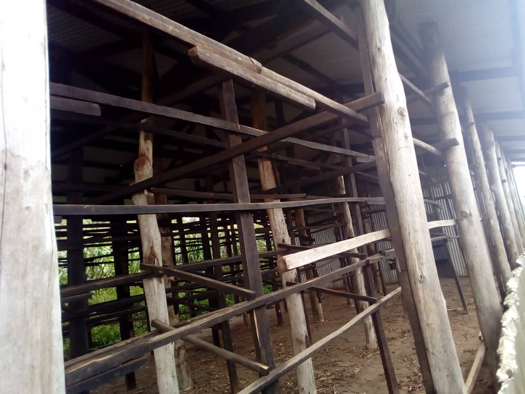 #MimuriSector
Hasuwe ubwanikiro bw'imyaka buri mu murenge wa Mimuli hagamijwe kureba ko bumeze neza Kandi ko nta kibazo bufite.