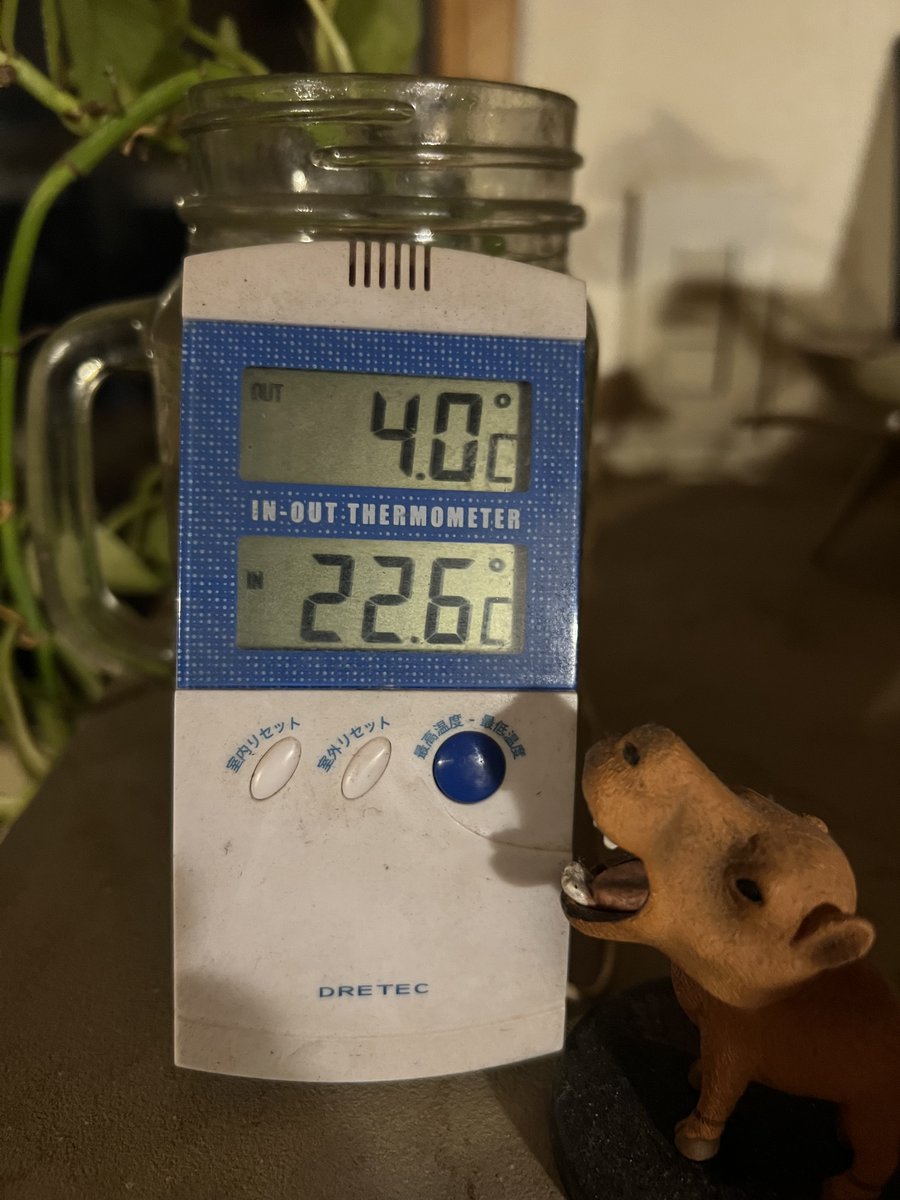 ohayotan's tweet photo. 外気温4度ですが、薪ストーブのお陰で室温22.6度、湿度38％、ほんわか快適です。 https://t.co/I0uTsrnJiM