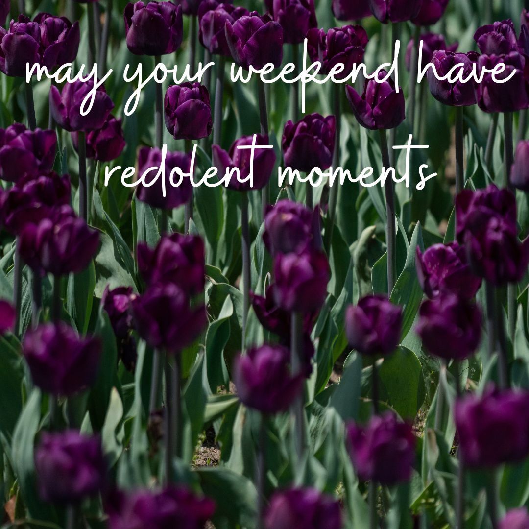 MindfulCenterSF tweet picture