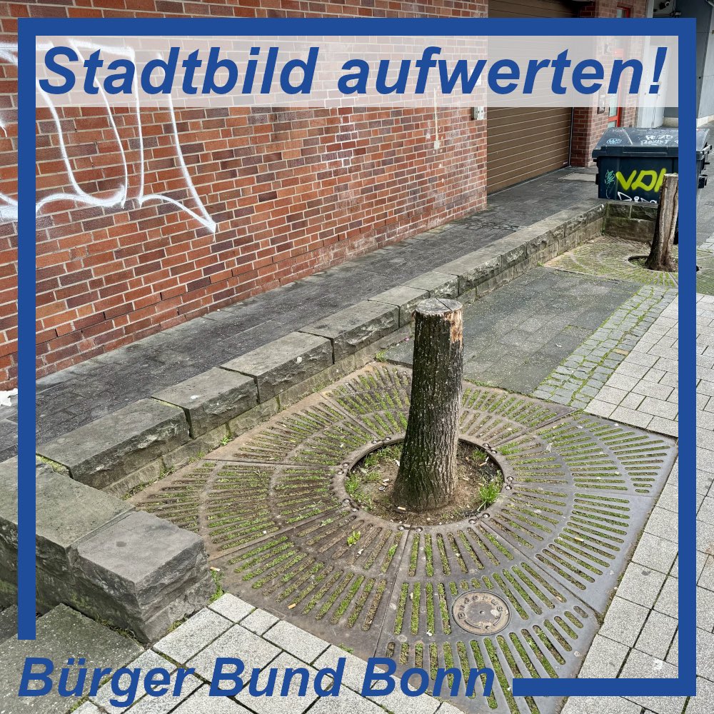 BuergerBundBonn's tweet photo. Kahlschlag in der Bonner Innenstadt 🪓🪵
Gegenüber vom Windeckbunker gibt es bisher keine Ersatzpflanzungen. Wir vom Bürger Bund Bonn arbeiten schon seit Jahren an dem Thema. Unsere aktuelle Anfrage dazu:
https://t.co/QnPPubVeWZ
#Bonn #Bundesstadt #BadGodesberg #Godesberg #Beuel https://t.co/3cHI69gfw1