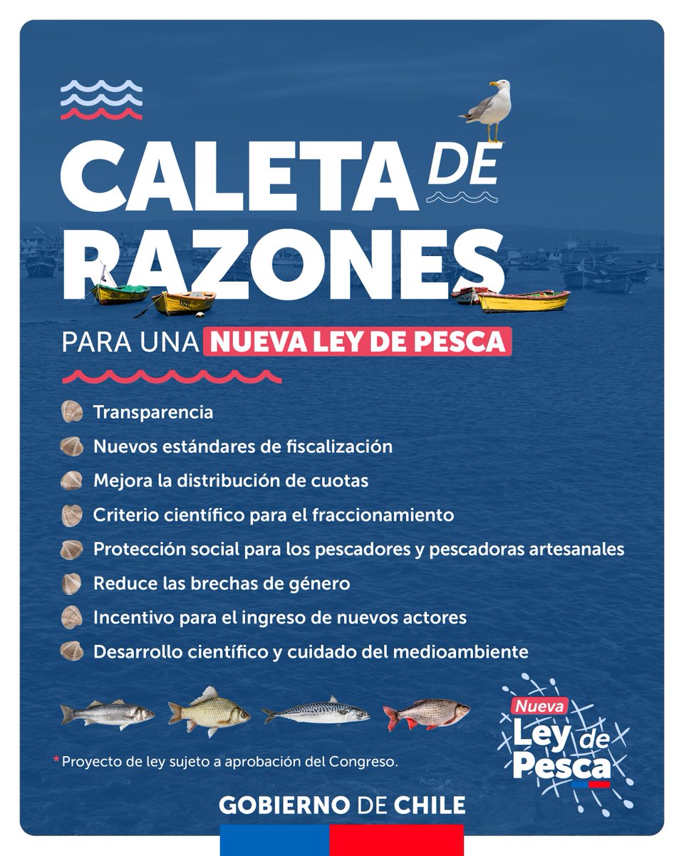 🐟✨Tenemos Caleta de Razones para una #NuevaLeyDePesca, cuyos principales pilares son la transparencia, la equidad y el desarrollo pesquero sostenible.

Entérate de más detalles en gob.cl/nuevaleydepesca