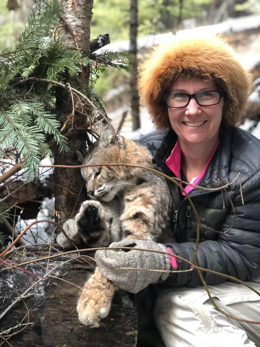 Teacher Tristen Jurek (Montana) loves Christmas & thanks God for all her blessings. Trapping is the worst of the worst. What a hypocrite. Heartbreaking photo.. 🤬RT #BanTrapping @_Pehicc @SARA2001NOOR @Angelux1111 @Gail7175 @DidiFrench @Lin11W @PeterEgan6 @RobRobbEdwards