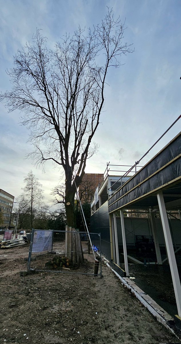 Eric Roeske tweet media