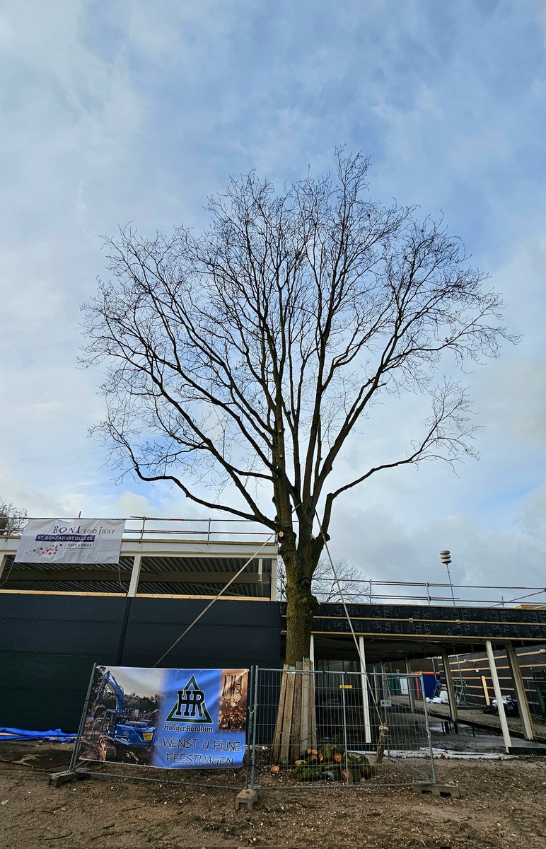 Eric Roeske tweet media