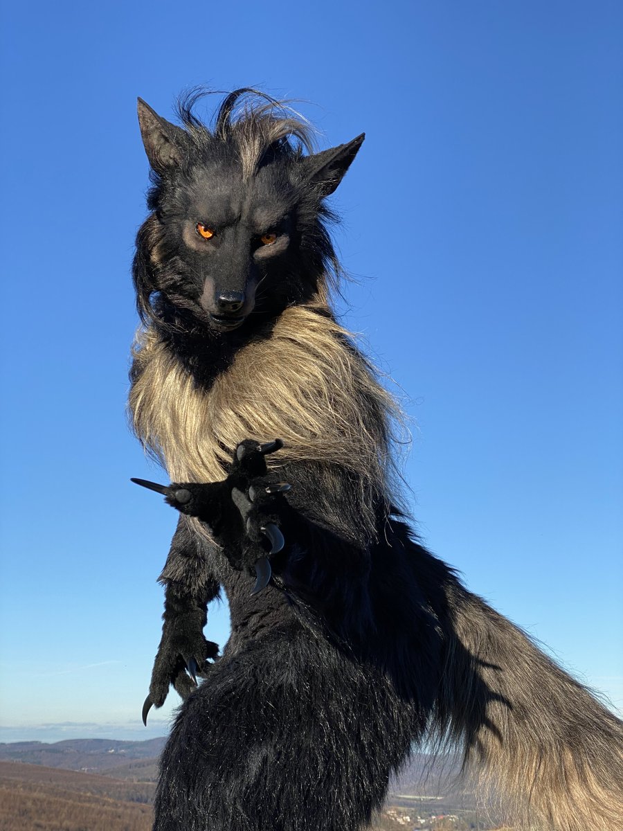 shaqualhound's tweet image. Hold still... there&apos;s something on your neck~

📸Ukinart
#hellhound #clockworkcreature #fursuit #FursuitFriday  #realisticfursuit