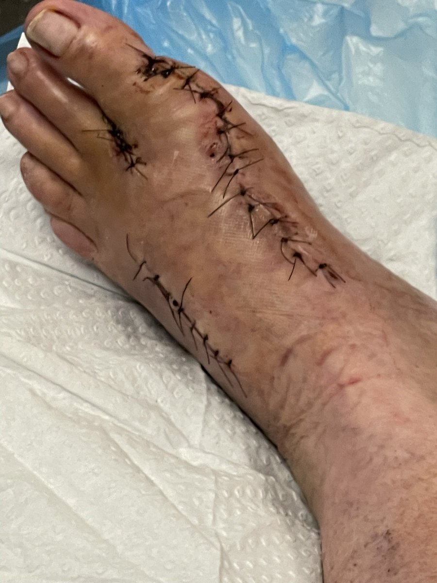 Diane Wake 💙 tweet media