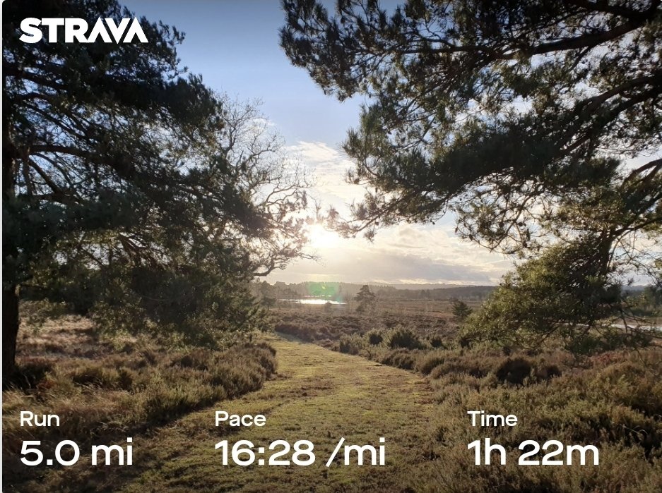 ZhepzyMudRunner's tweet image. Super beautiful today! New paths, new marks 
#TWC #TwittaWinterChallenge #SonicWinterSprinters