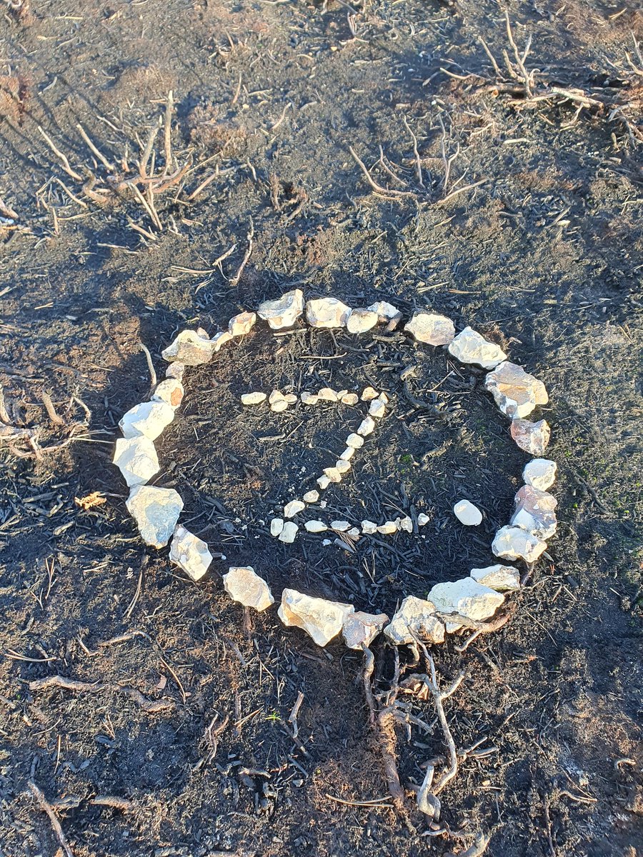 ZhepzyMudRunner's tweet image. Super beautiful today! New paths, new marks 
#TWC #TwittaWinterChallenge #SonicWinterSprinters