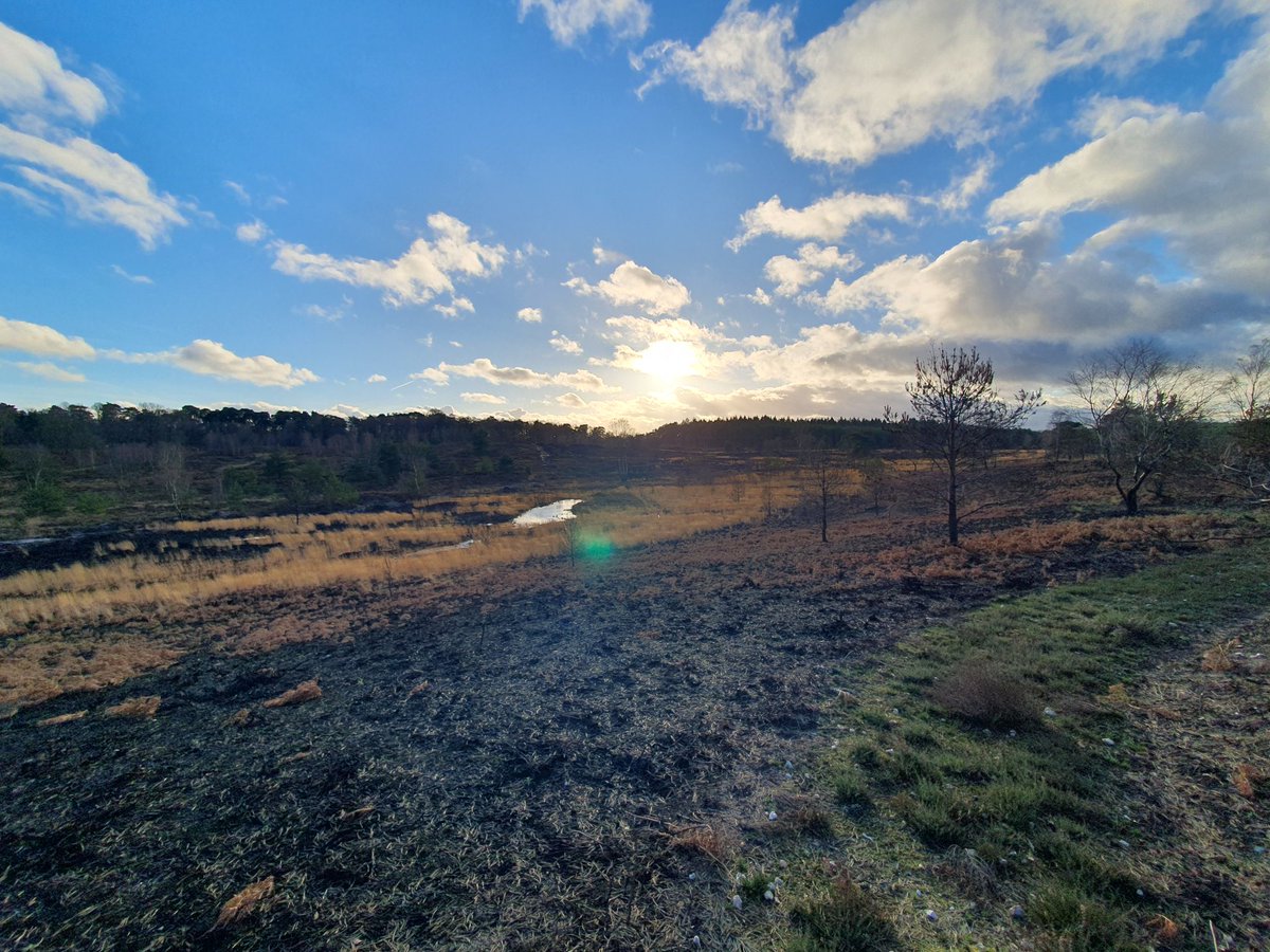 ZhepzyMudRunner's tweet image. Super beautiful today! New paths, new marks 
#TWC #TwittaWinterChallenge #SonicWinterSprinters