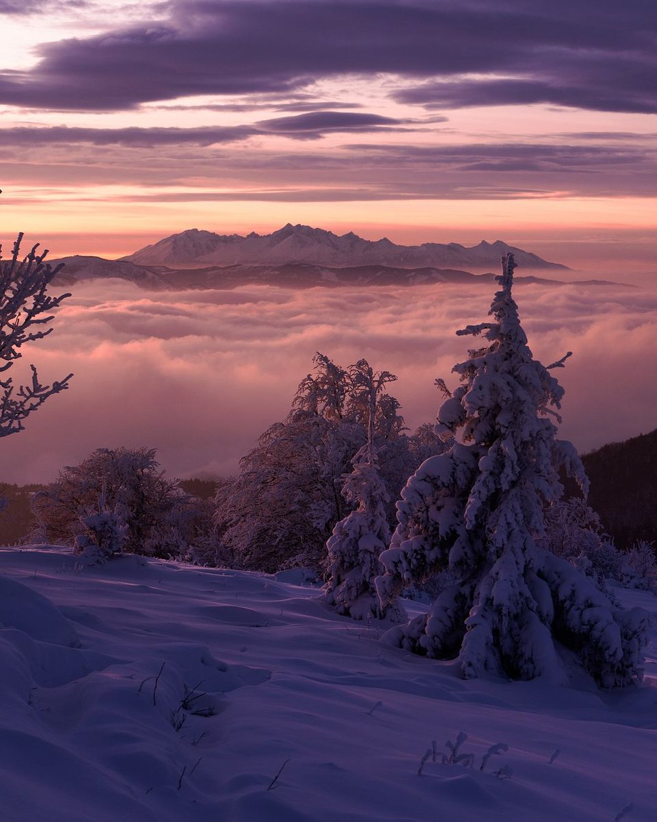 When the day ends and you know that you will remember this sunset for a long time.💜 Good Evening ✨️🗻