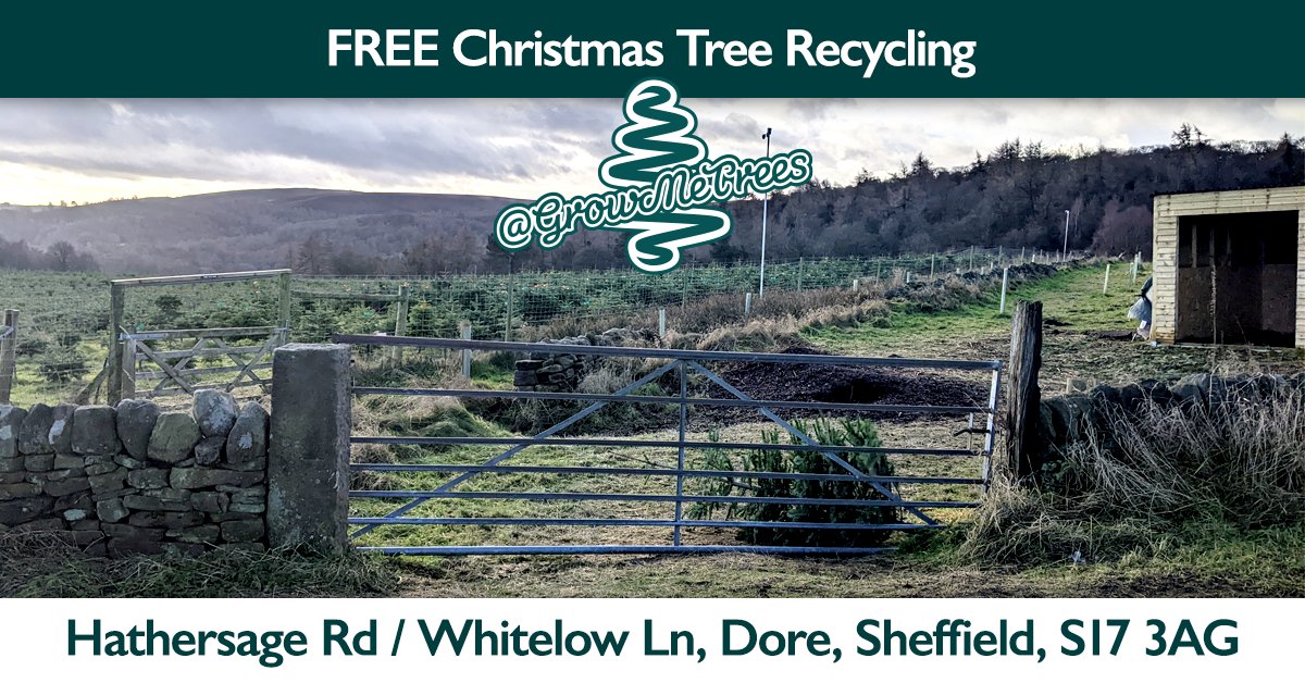 You can drop your Christmas tree off to us to recycle free of charge. Just drop it over our  main gate and we’ll pick it up and recycle it back into the ground as  mulch to help grow the  next generation of Christmas trees. #sheffield #christmastree #recycling #sustainable