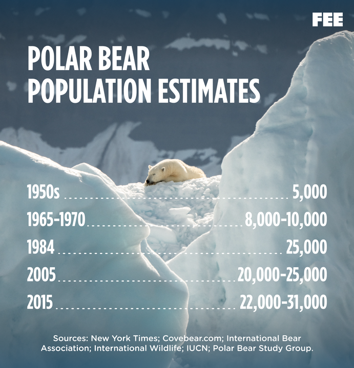 For noen år siden fikk vi oss fortalt at dersom utslippene av klimagasser ikke ble kuttet var det over og ut for isbjørnene...