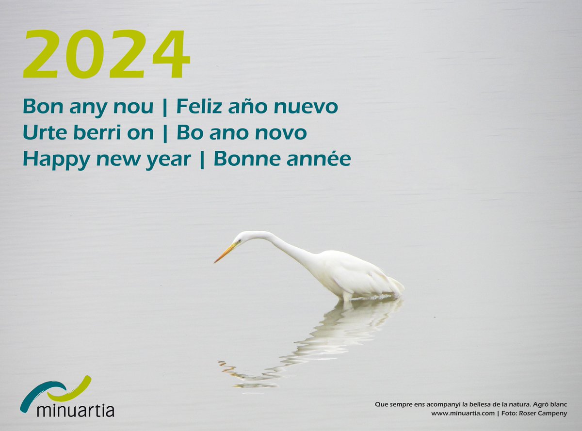 minuartia tweet media