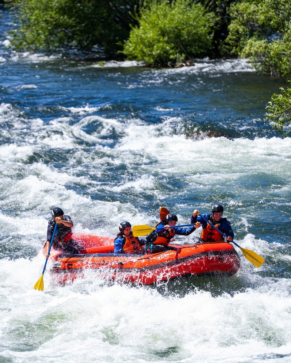 Turismo Esquel tweet media
