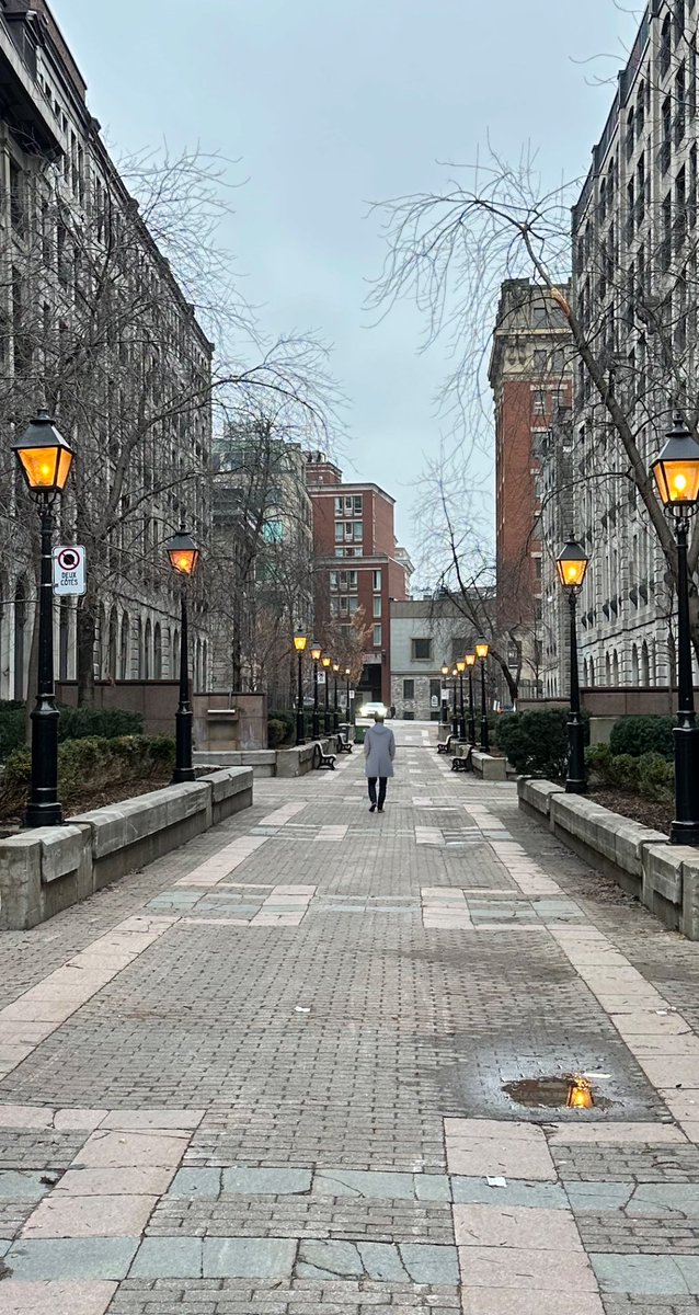 StefanoDiLollo's tweet image. Sharing moments of reflection and preparation during the ‘in-between-holiday’ days. And no, I wasn’t alone on this serene stroll through the Old Port on a mild December day. ❄️✨ @vieuxportmtl 

#ReflectTogether #HolidayCompany
#PeacefulReflections #OldPortSerenity #Montreal