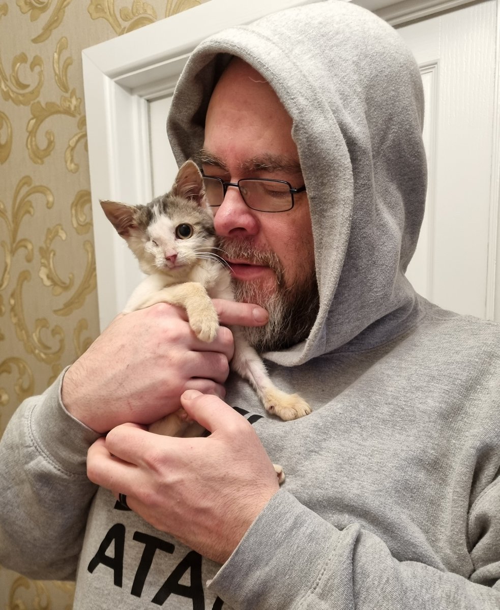 A new edition to the family, Welcome Ned. We are fostering him until he is fully recovered and ready to rehome,  he was found as a stray a few weeks ago with a severely damaged eye (the vet thinks possibly hit by a car or it was a malicious act)  and had to be removed.