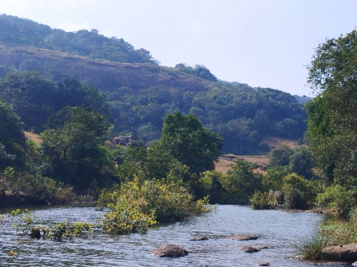 Join our group @ITMERG1 as we explore and map the riverine biodiversity patterns along the Upper Bhima River Basin. Walk-in interview: 2nd January, 2024. iiserkol.ac.in/web/en/announc…