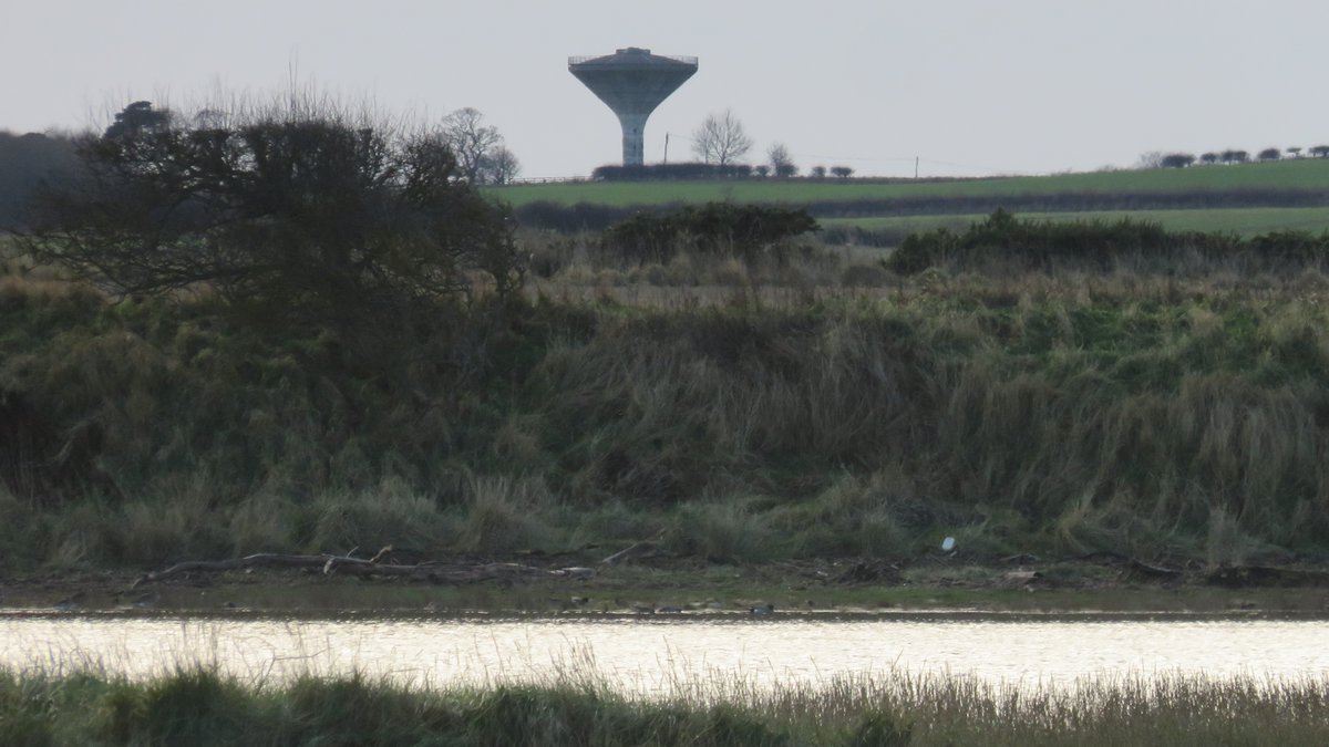 nicola crockford tweet media