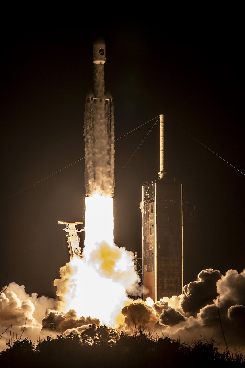 Elon Musk tweet media