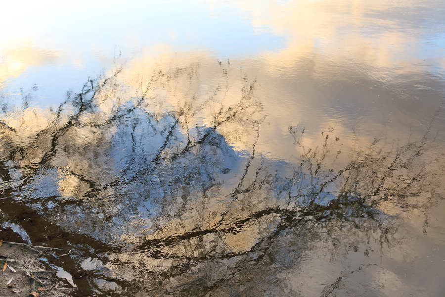 VTRILLAUD's tweet photo. - L'âme de la Loire se dévoile en son miroir -

V. Trillaud/https://t.co/u2ysIFMXHp

#artisticphotography #reflexion @RCValdeLoire @villedeblois #artphoto https://t.co/NQ2vhl103a