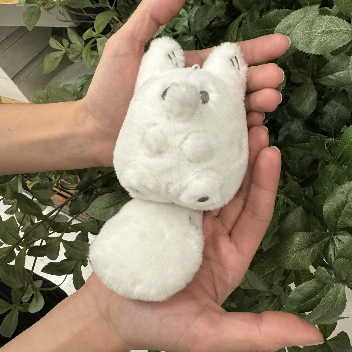 Introducing.. the mini Pocket plush! Take Anxiety Fox wherever you go and when you need some emotional support from a small friend!