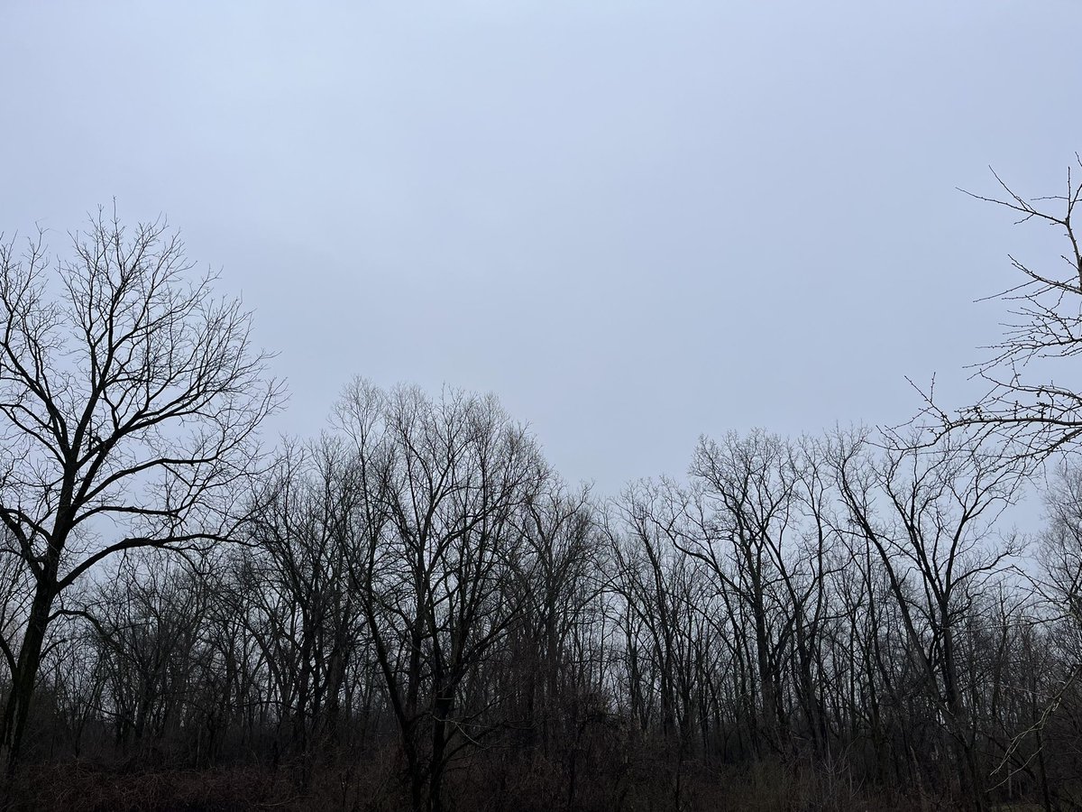 shoesonplease's tweet photo. I haven’t seen the sun shine in Michigan for almost a month. In just over 10 years, I won’t be able to drive or heat my home either. 
#MIEnergy #JustSayNoToSolar https://t.co/BBI7EzK20f