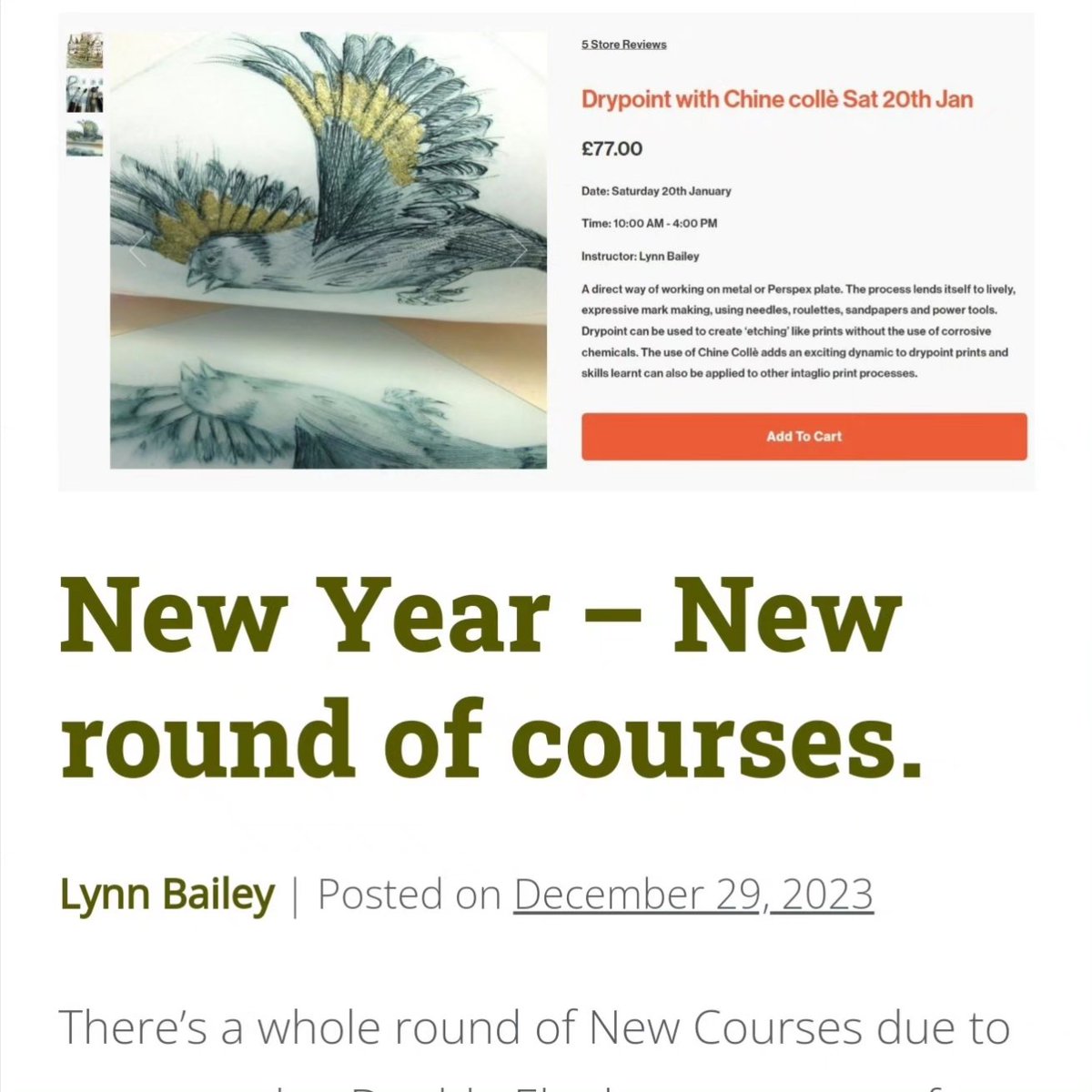 Lynn Bailey tweet media