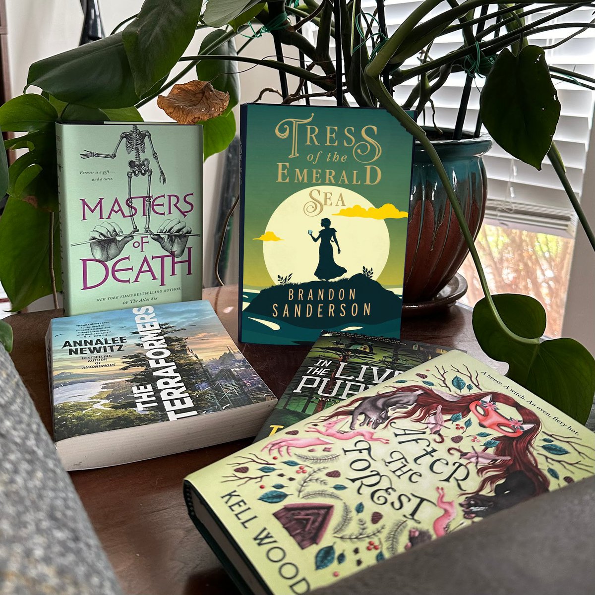 Who's ready for a special holiday #sweepstakes?! Follow us, then like and retweet this post to enter for the chance to win this Evergreen bundle of SFF favorites. Best of luck, y'all!

#EvergreenSFF