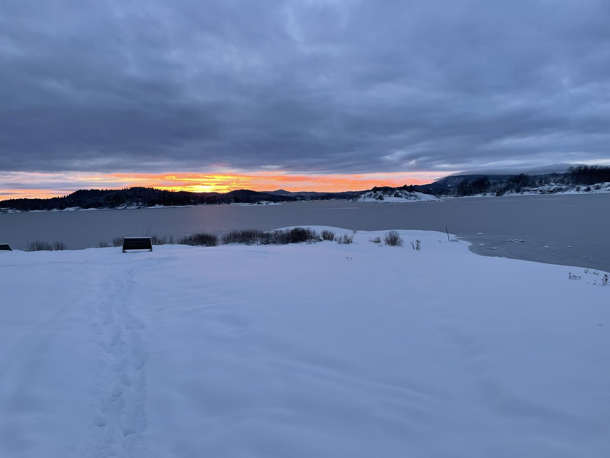 Walking in the winter wonderland! #Norway 🇳🇴
