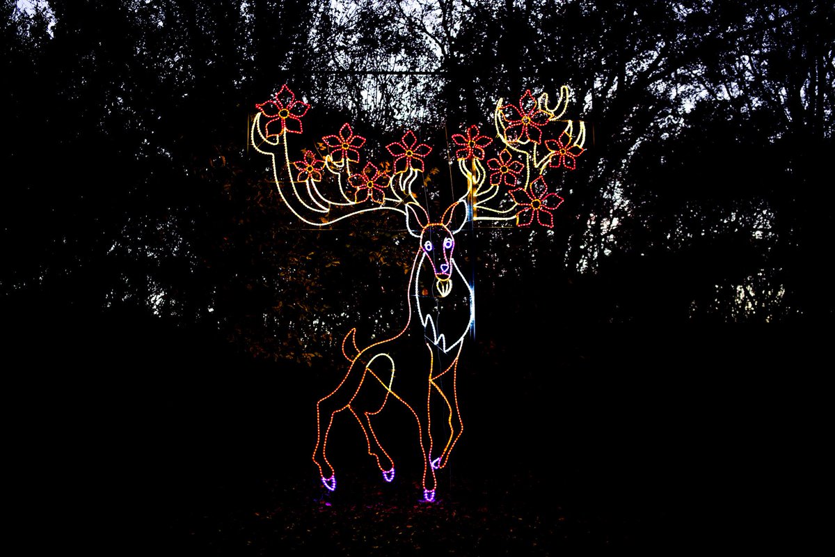 Prairie Lights tweet media