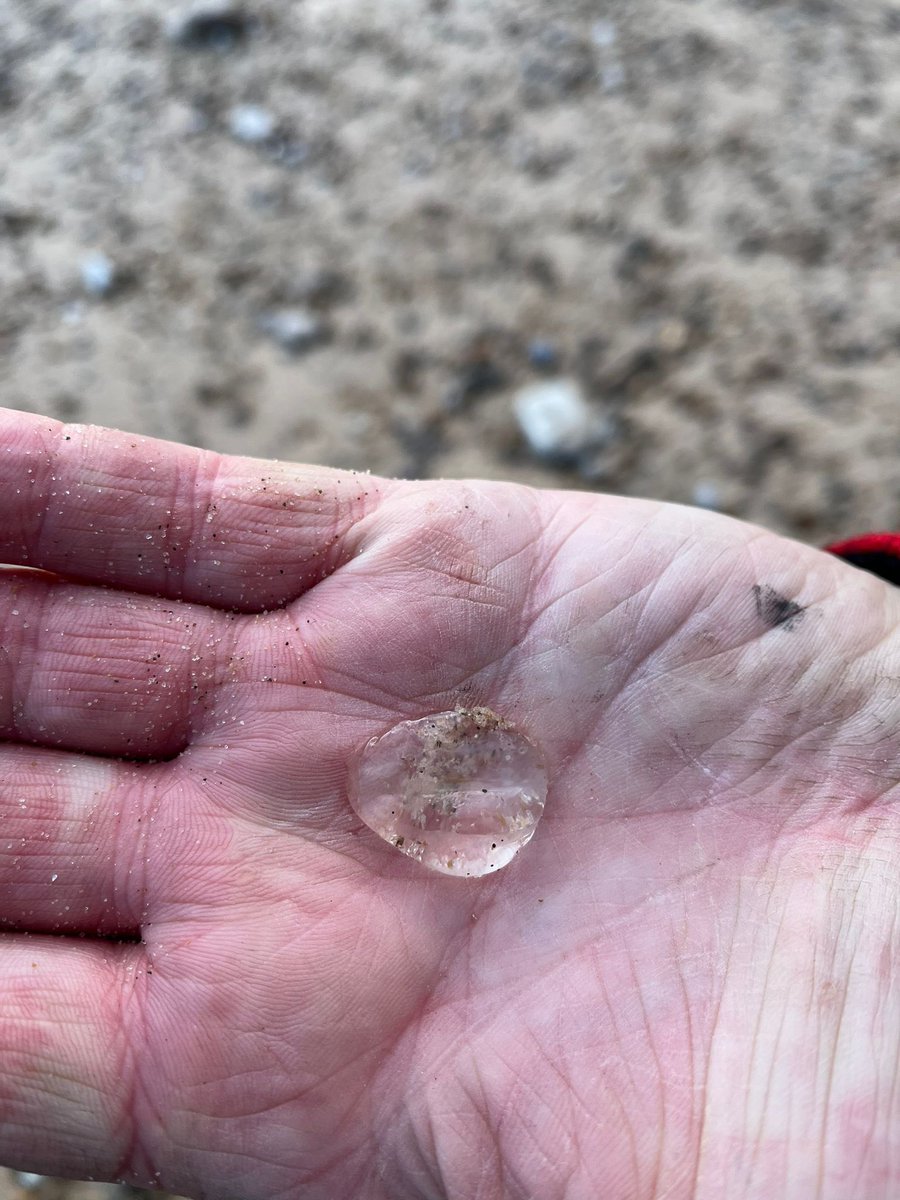Dave_Dixon1's tweet photo. Bright but cold with a little drizzle at #marsdenbay another joint pick with @Marsden_Marie59 & @NatD90164112 we took 21.10kg away #litter #PlasticPollution #monofilament & more angling waste
#lovewhereyoulive
@KeepBritainTidy
@CarbonKiss
@Plasticsimpact https://t.co/WmcIXULCr3
