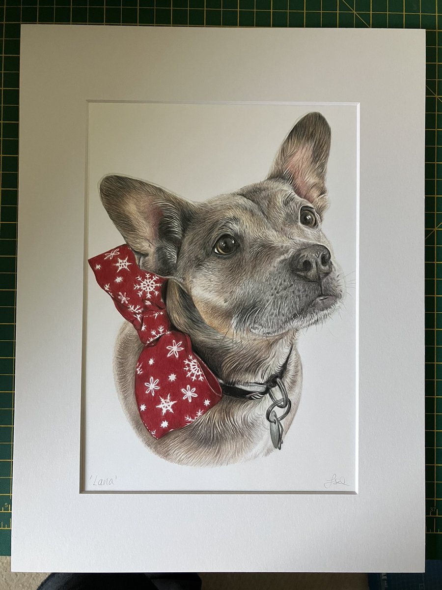 Lisa Wellwood Artist tweet media