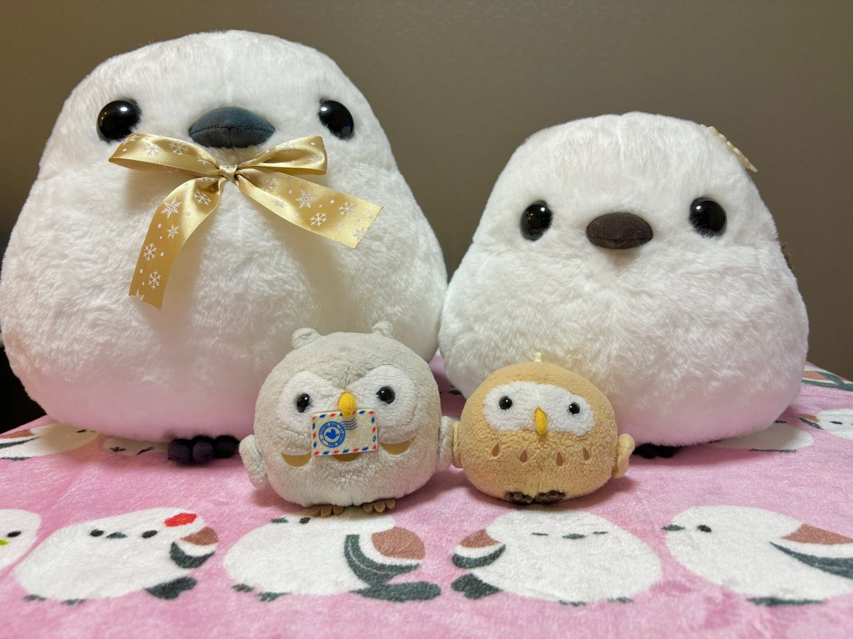 Godxking's tweet photo. プレゼント🎁が届きました！ふくふくシマエナガの水色シマちゃんと紫しまゑさんです✧*｡٩(ˊᗜˋ*)و ことり好きにはたまらないかわいさ💕
写真入りのクリアファイルまで作って下さり感激❤️家宝にします✨アミューズ様、ありがとうございます😊！！
#アミュキャラクリスマス2023
#アミュキャラぬい撮り https://t.co/rImNWdfJ01