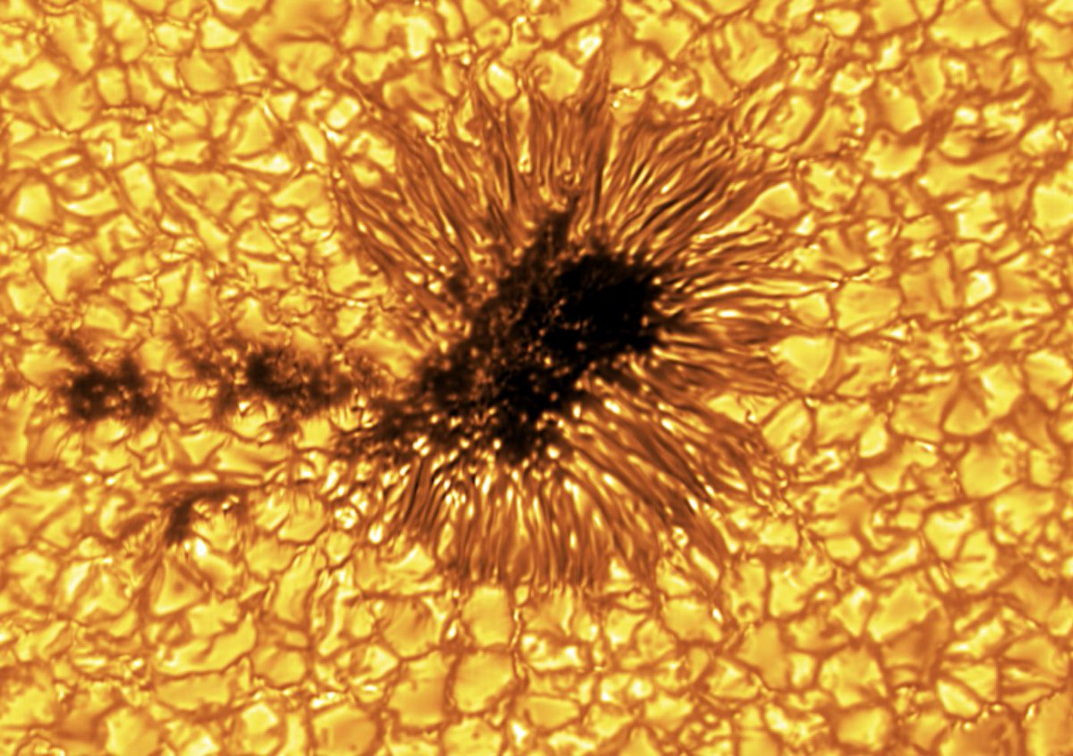 Las primeras imágenes del telescopio Euclid, planetas, anillos invisibles e imágenes del cosmos como nunca habías visto. 

Aquí están las fotos espaciales más impresionantes de este 2023
💫🚀
