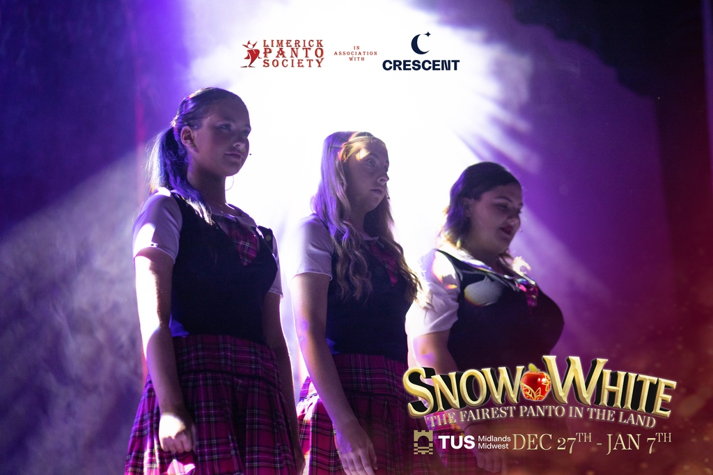Limerick Panto Society tweet media
