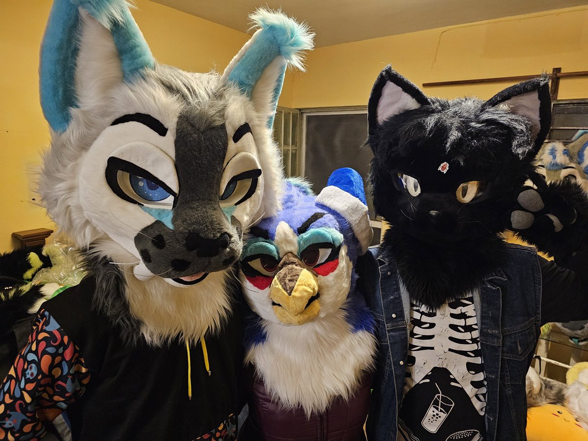 #FursuitsFriday with <a href="/mahokemo/">まほ Maho Lynx</a> <a href="/XytanJ/">🐈 Xytan Jar</a>