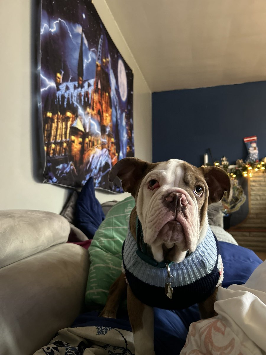 MARCHINGUS tweet media