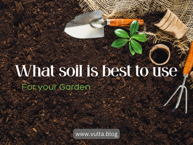 vulta.blog/what-soil-to-u…

#GardeningTips #SoilSelection #GardenCare #PlantingAdvice #HealthyGarden #GardenSoil #GreenThumb #PlantHealth #Gardening101 #SoilPreparation #HomeGardening #OrganicGardening #SoilEnrichment #GardenGuide