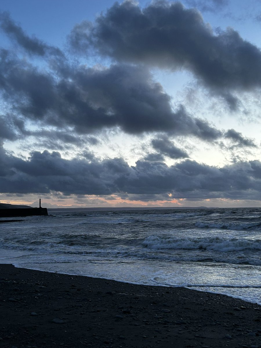 Steff Harries tweet media