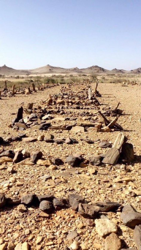 i_t1j's tweet photo. ماضي الاتراك في الجزيرة العربية

صورة قتلاهم في السعودية
واغنية رثاء لهم في اليمن

هذا ماضي الاتراك امام احفاد الصحابة واهل الجزيرة العربية 👇🏻😎

حذائي سأضعه على رأس كل تركي وعلى رأس إلهكم اتاتورك 👞👞👞

#süperkupa https://t.co/k2VT354TPW