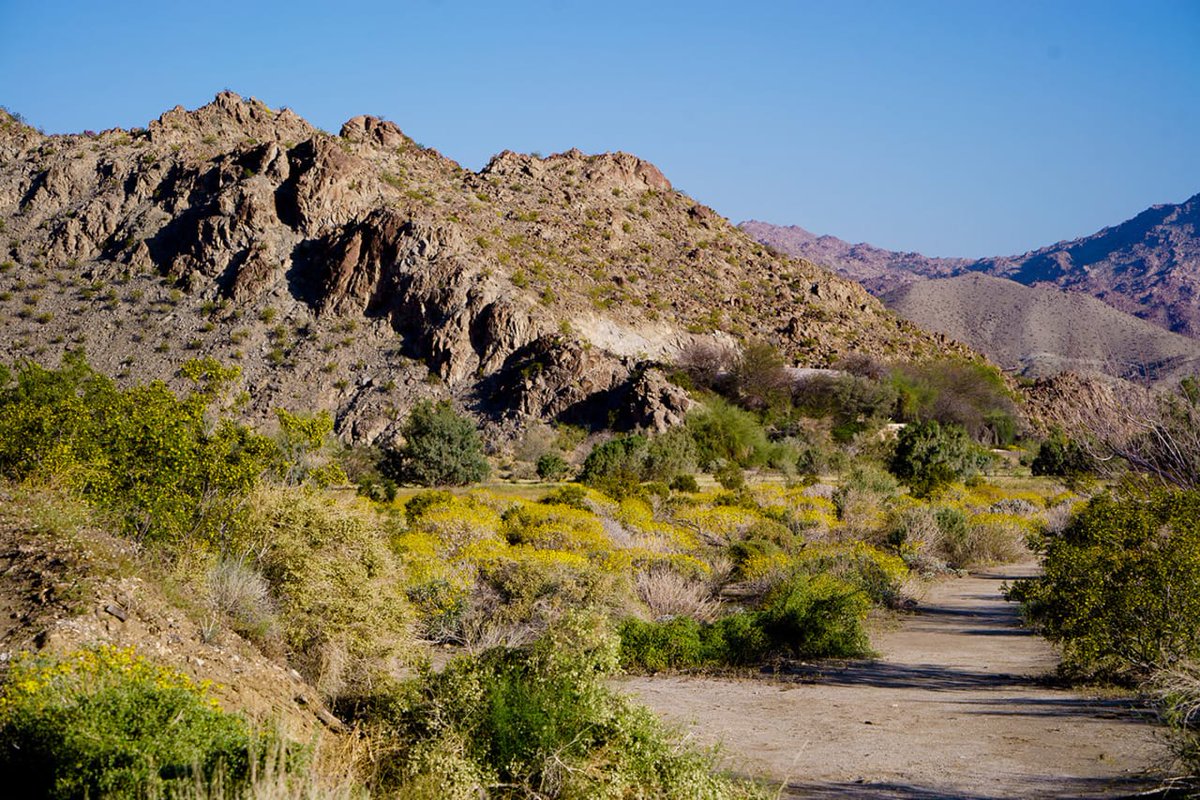 Here's a great new roundup of books about the desert from <a href="/palmspringslife/">Palm Springs Life</a> and <a href="/stevenbiller/">Steven Biller</a>. Thx for noting my  piece, "Rocks in the Shape of Billy Martin," which appears in <a href="/ruthnolan/">Ruth Nolan</a>'s desert anthology, No Place for a Puritan, included on this list.
palmspringslife.com/13-books-about…