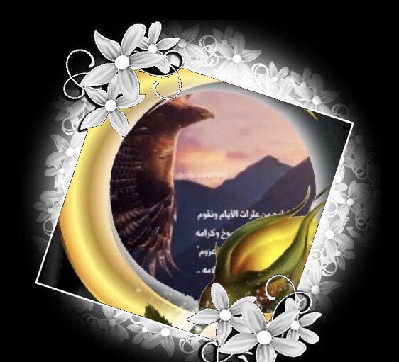 وردة جوري🌹 ma3000 tweet media