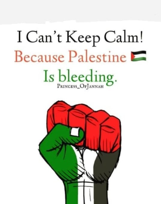 SaraReyi's tweet photo. Palestine is bleeding ... don't you bleed too?💔 https://t.co/IHZVkhYStg