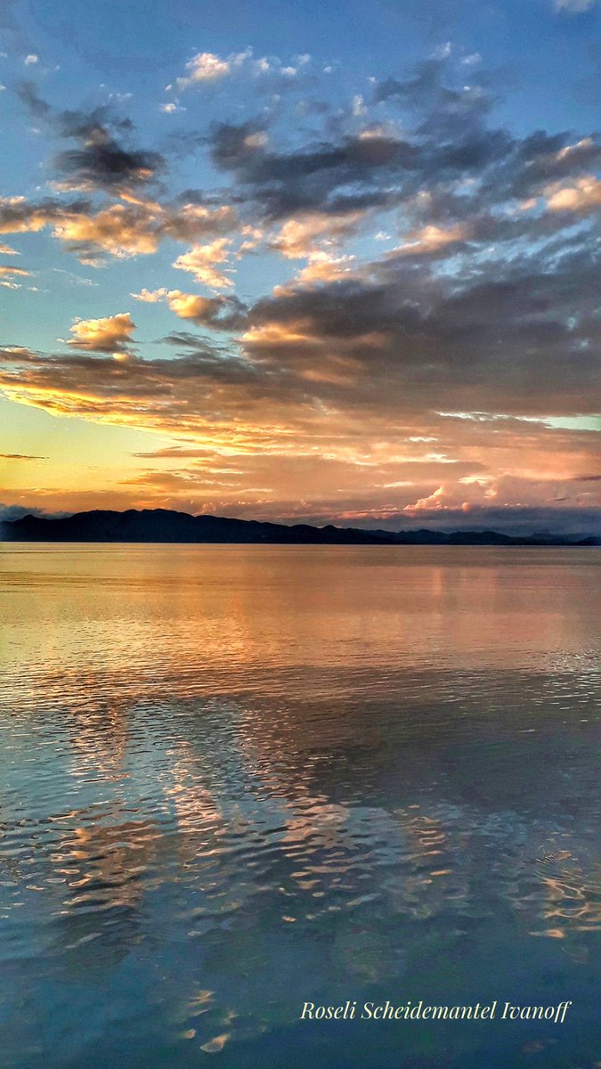 Clouds and their beautiful colors reflected in the sea!  💛
A bright New Year to everyone!
🎉🌟🌟🙌
#StormHour #ThePhotoHour 
#photography #NaturePhotography 
#clouds #Colors #happynewyear